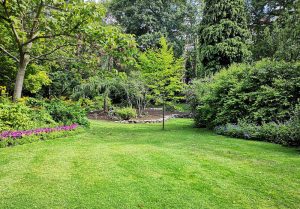 Optimiser l'expérience du jardin à Thorigny-sur-le-Mignon